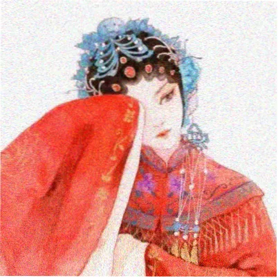 读者 青禾 头像